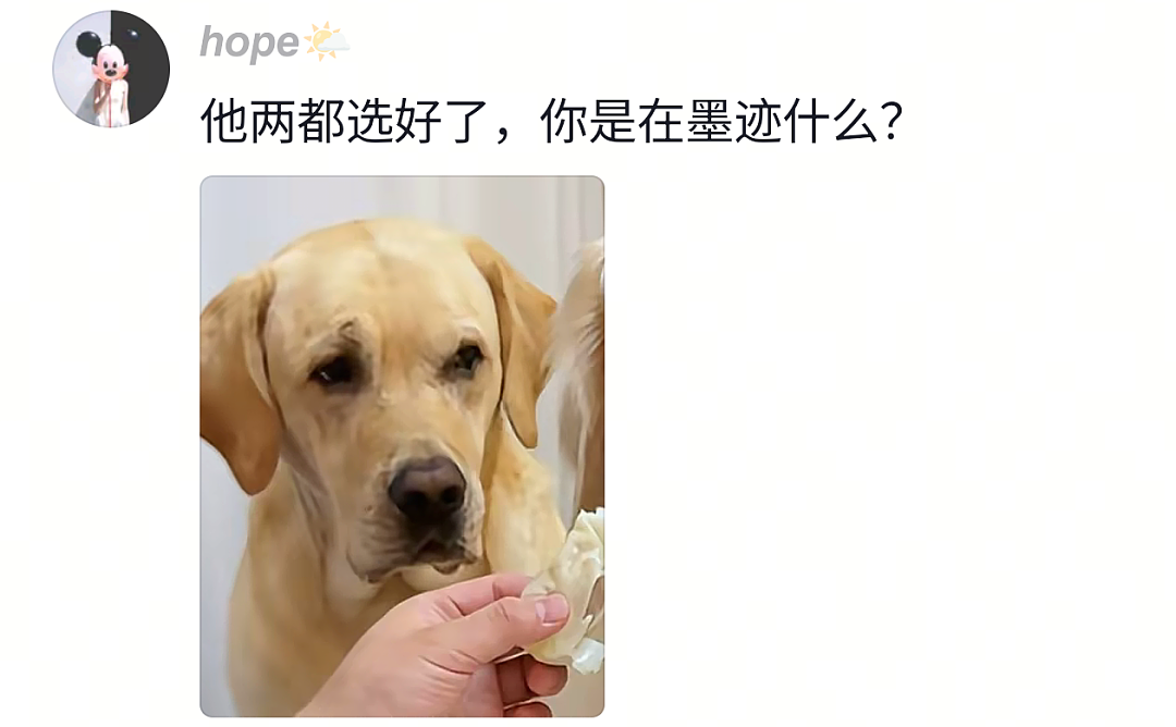 【宠物】狗子试图叫醒主人,又怕铲屎官有起床气,干脆换了个新方式(组图) - 2