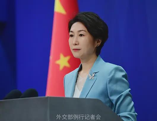 许智峰获得澳大利亚政治庇护!外交部:敦促有关国家停止干涉中国内政(组图) - 1