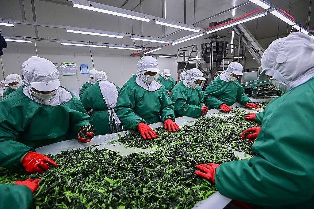 华人开日式餐厅摒除繁文缛节,规模+标准化气坏日本人(组图) - 9