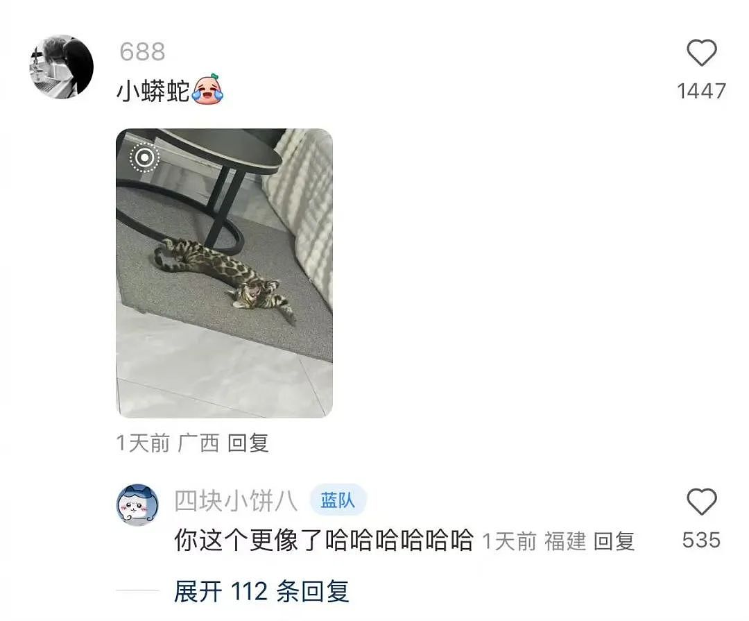 【爆笑】“上班把领导当狗养后...... “ 哈哈哈哈哈哈哈很超前的精神状态（组图） - 96
