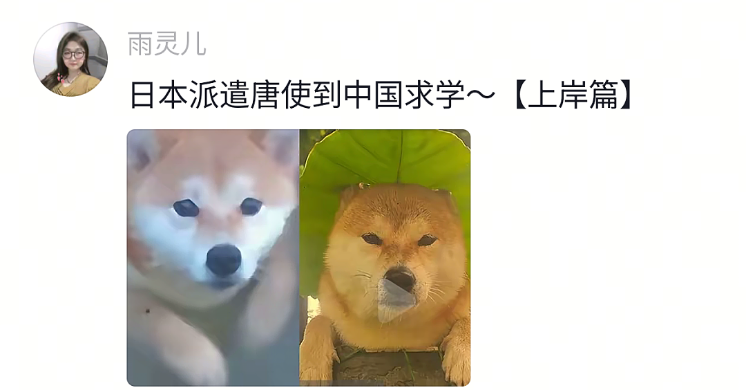 【宠物】狗子试图叫醒主人,又怕铲屎官有起床气,干脆换了个新方式(组图) - 8