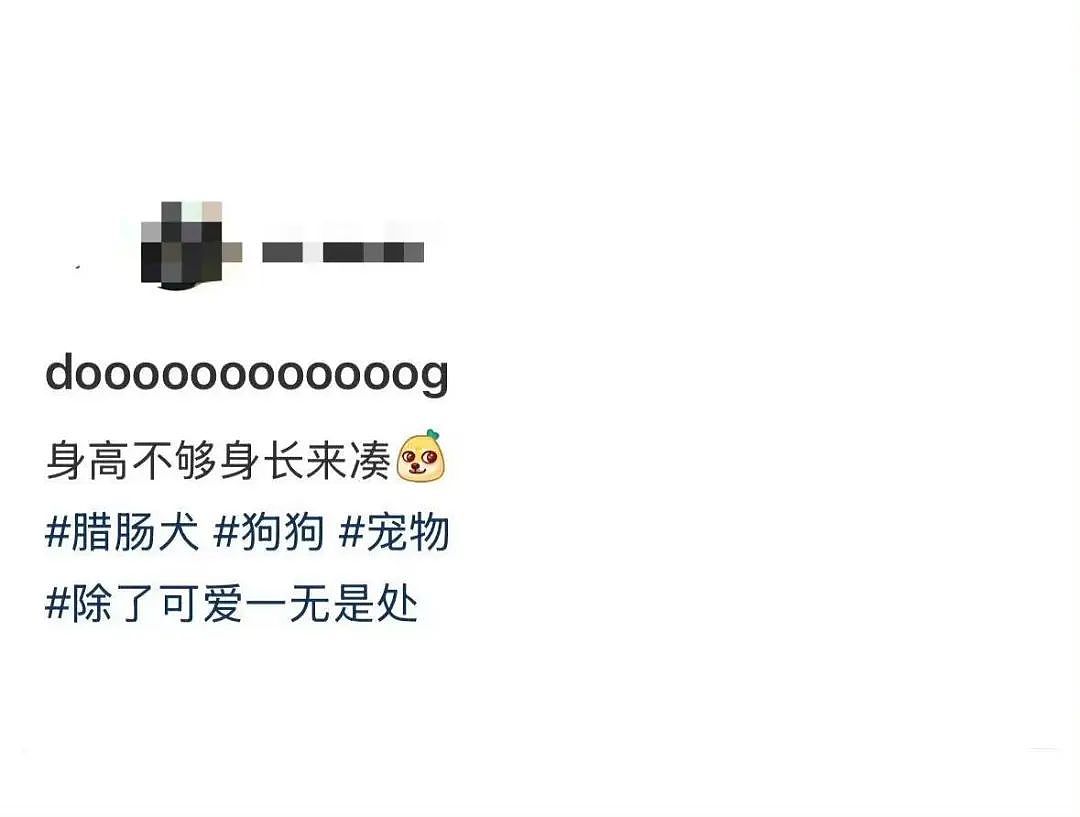【爆笑】“女朋友很拜金怎么谈恋爱…？”啊啊啊往哪边拜可以避开你（组图） - 78