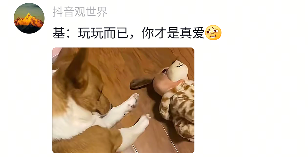 【宠物】狗子试图叫醒主人,又怕铲屎官有起床气,干脆换了个新方式(组图) - 25
