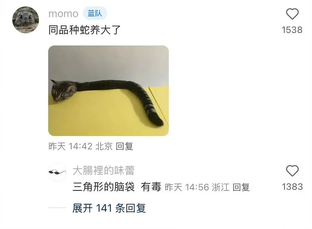 【爆笑】“上班把领导当狗养后...... “ 哈哈哈哈哈哈哈很超前的精神状态（组图） - 94