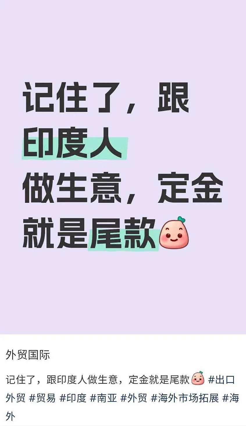 新西兰华人晒印度签证：我要去印度开公司了（组图） - 21
