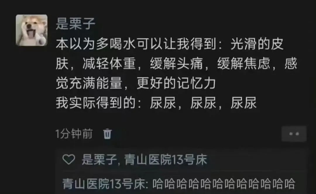 【爆笑】“上班把领导当狗养后...... “ 哈哈哈哈哈哈哈很超前的精神状态（组图） - 37