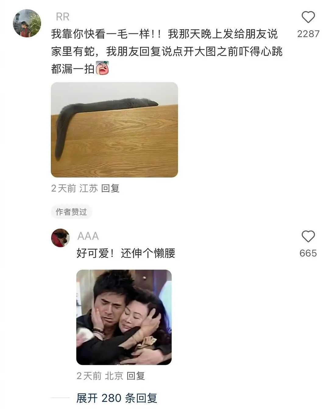 【爆笑】“上班把领导当狗养后...... “ 哈哈哈哈哈哈哈很超前的精神状态（组图） - 95