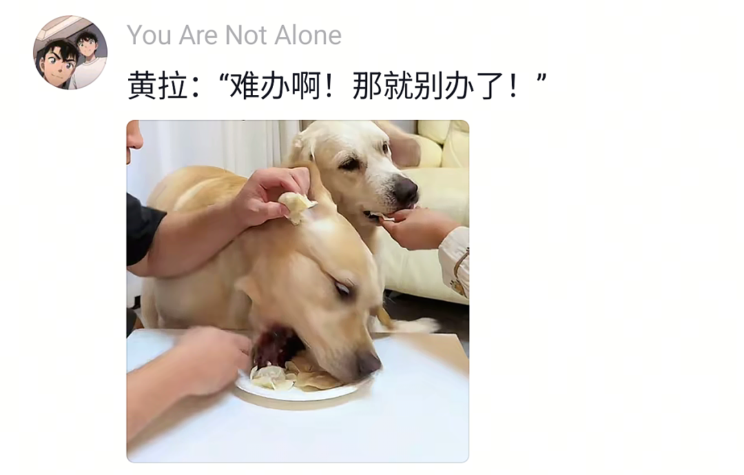 【宠物】狗子试图叫醒主人,又怕铲屎官有起床气,干脆换了个新方式(组图) - 4