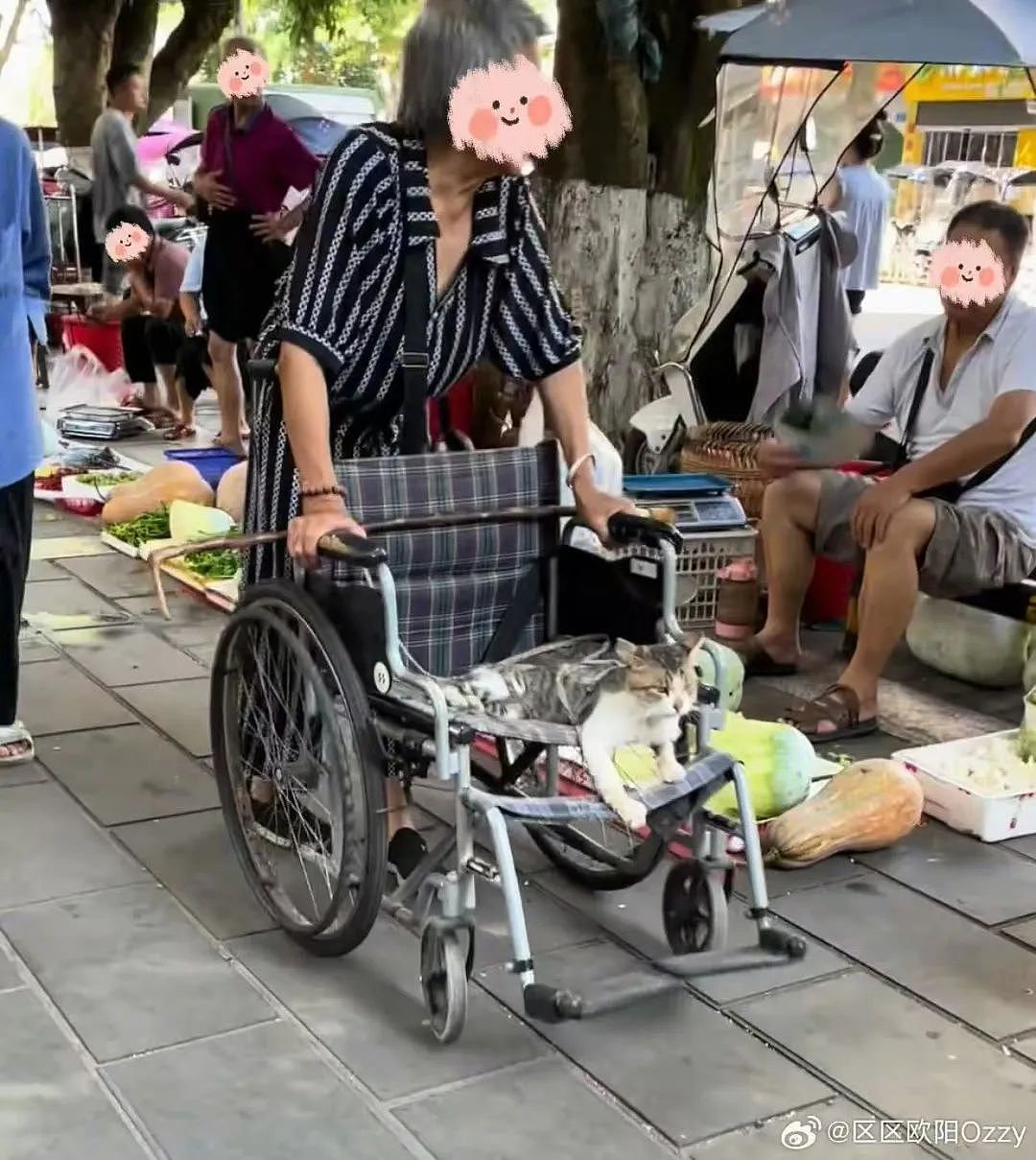 【爆笑】“上班把领导当狗养后...... “ 哈哈哈哈哈哈哈很超前的精神状态（组图） - 15