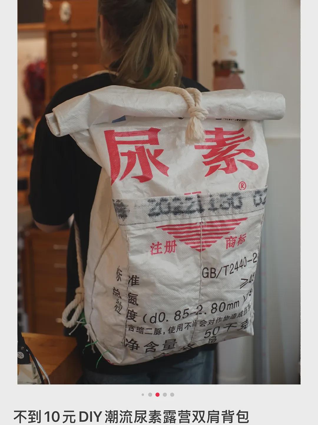 比始祖鸟时髦、比巴黎世家实用，我爷都不要的尿素袋被打工人捧成背包届六边形战士？（组图） - 7