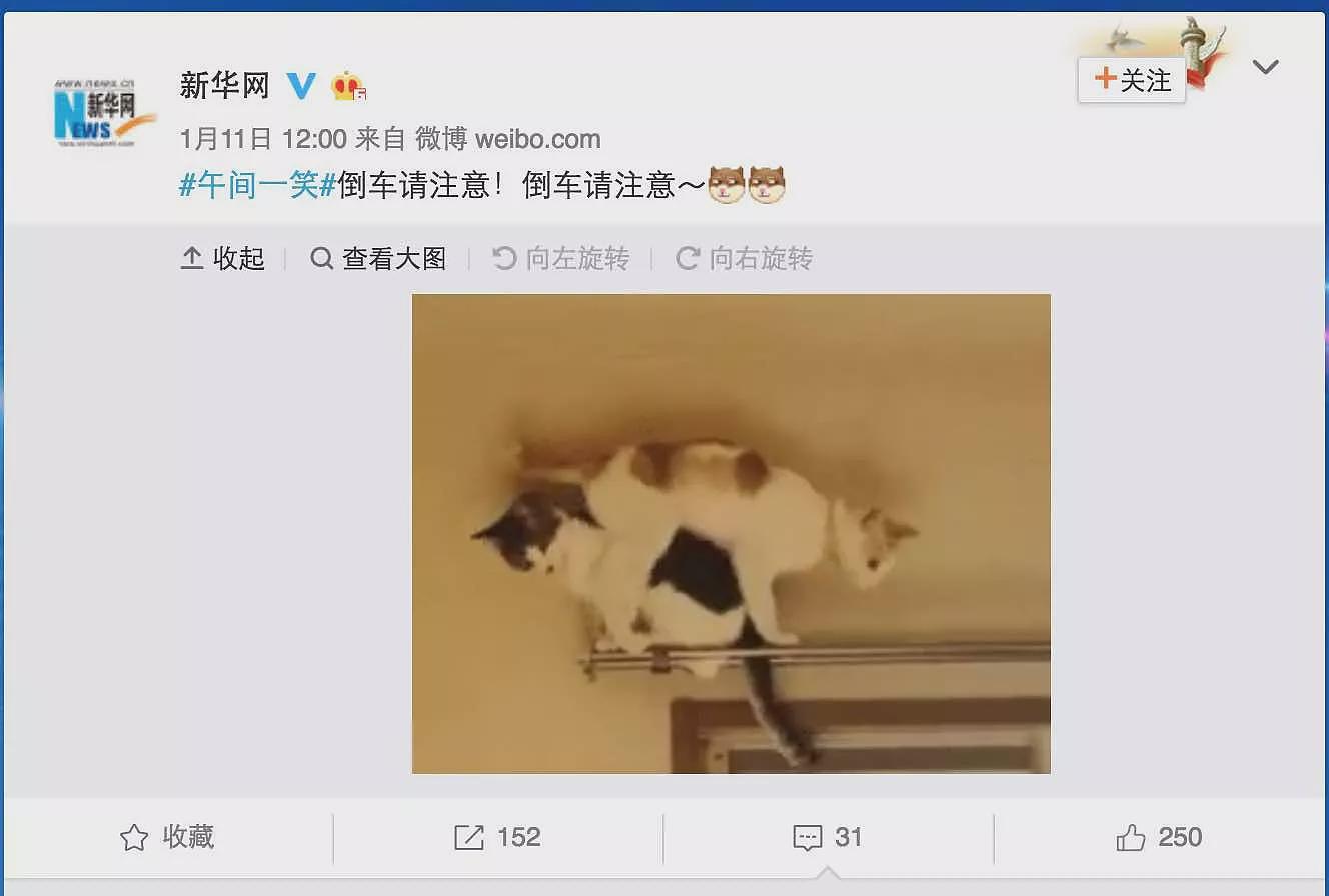 劳东燕：近年来，有股力量拖拽着所有人向下坠落（组图） - 1