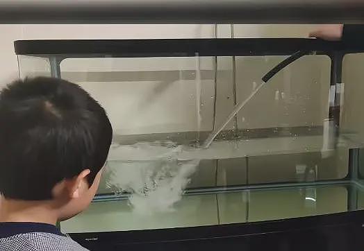 华人在新西兰养鱼，不料被举报虐待动物！隔天就被人找上门，结局令人意外…（组图） - 6