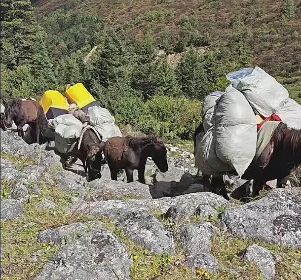 比始祖鸟时髦、比巴黎世家实用，我爷都不要的尿素袋被打工人捧成背包届六边形战士？（组图） - 5