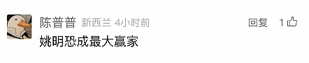 华人惊呼：姚明表情包都打到新西兰来！副总理躺枪，梗图笑断肠……（组图） - 5