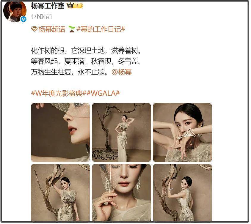 W盛典女明星杀疯了！热巴杨幂比拼顶奢高定，刘诗诗资源不如唐嫣（组图） - 9
