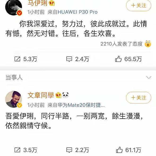 离婚6年，马伊琍也没想到，文章同样的“招数”，让她跌倒了两次（组图） - 13