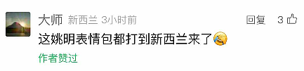 华人惊呼：姚明表情包都打到新西兰来！副总理躺枪，梗图笑断肠……（组图） - 4
