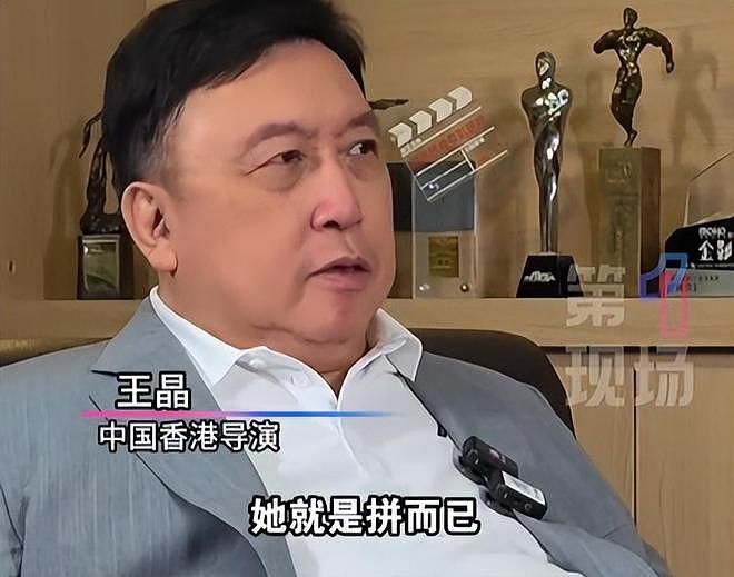 王晶谈蔡少芬演《甄嬛传》:迫不得已,一直在消耗情怀、消耗观众(组图) - 10