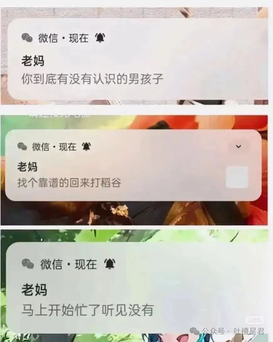 【爆笑】女朋友很拜金怎么谈恋爱…？啊啊啊往哪边拜可以避开你（组图） - 36
