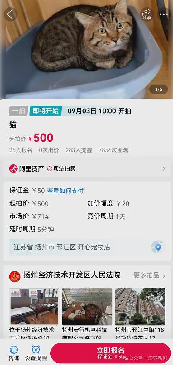 广东2500斤鳄鱼被拍卖,法院:需“上门自提”(组图) - 5