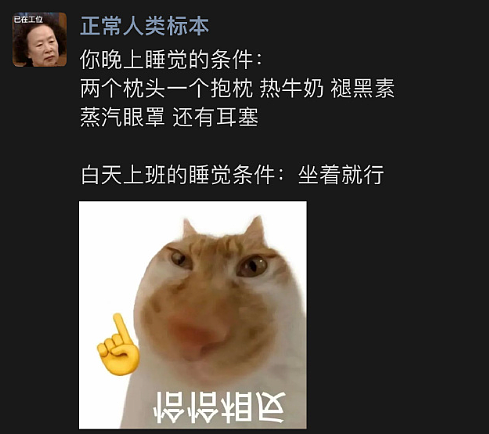 【爆笑】男朋友把头像换成和前女友一起养的猫！他是什么意思？（组图） - 43