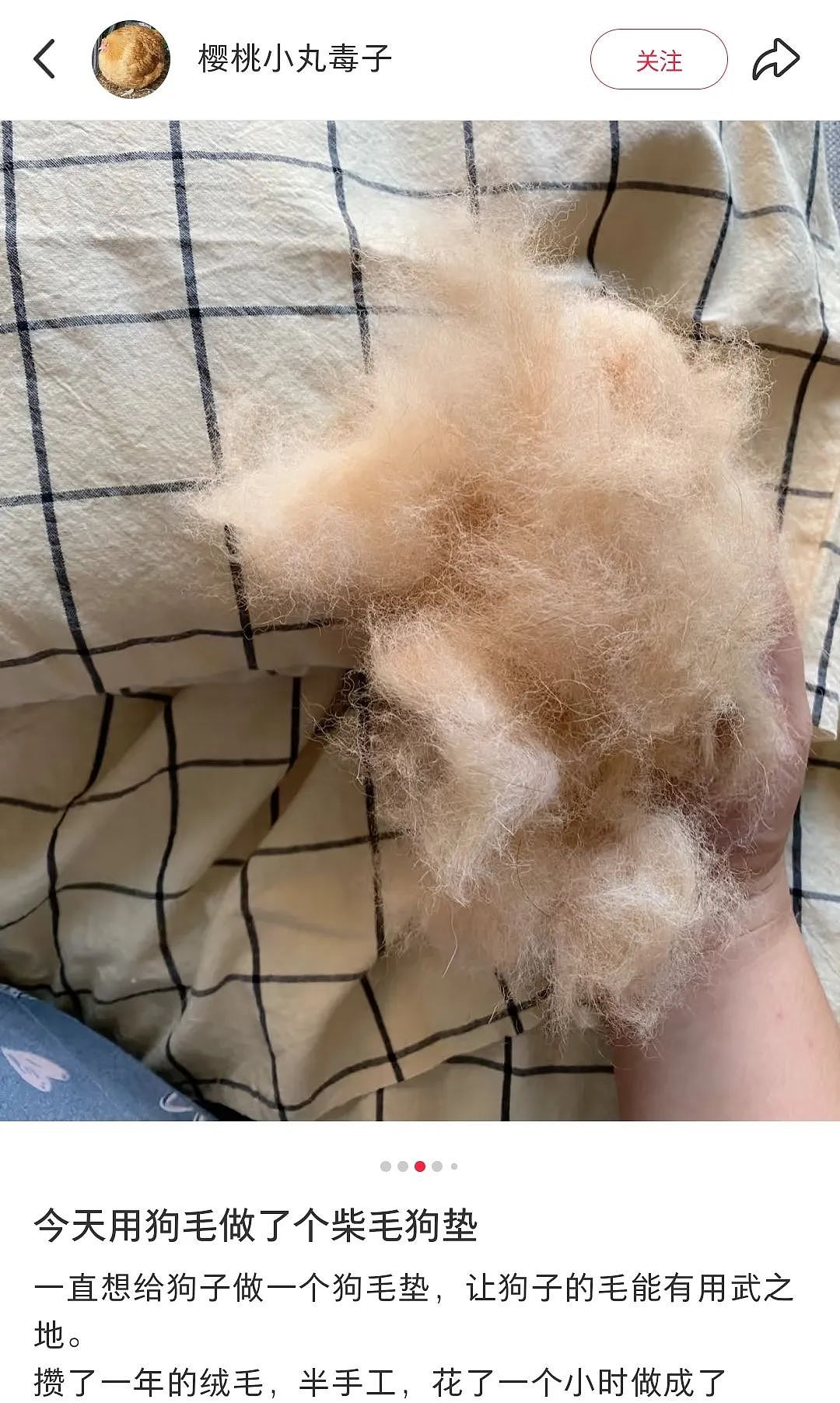 【宠物】妹子用攒了2年的狗毛,给自己和小猫织了件毛衣?网友笑喷:一家人就要整整齐齐(组图) - 19