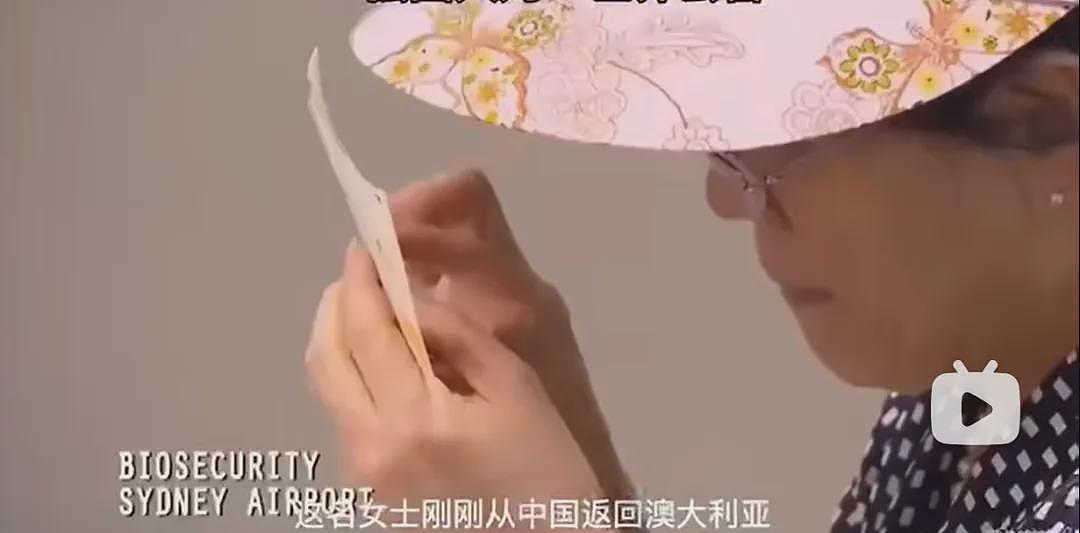 中国女子带娃大闹海关!辱骂暴打移民官致其脑震荡,法院判决引爆舆论...(组图) - 6
