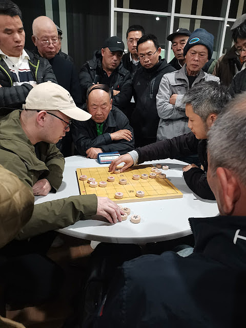 澳洲2025年“KF杯”象棋锦标赛完美成功（组图） - 3