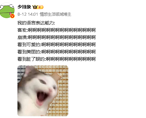 【爆笑】男朋友把头像换成和前女友一起养的猫！他是什么意思？（组图） - 41