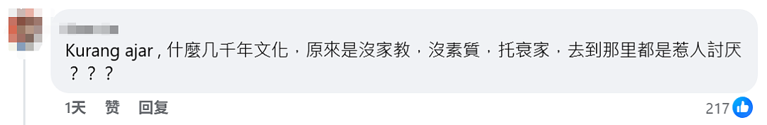 “如果没有中国，就没有新加坡…”网传中国妈妈携娃插队与本地人对骂，视频流出引热议（视频/组图） - 22