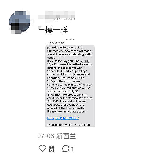 25岁中国女子，在新西兰狂买奢侈品！刷卡时直接被警察铐走，“大快人心”（组图） - 15