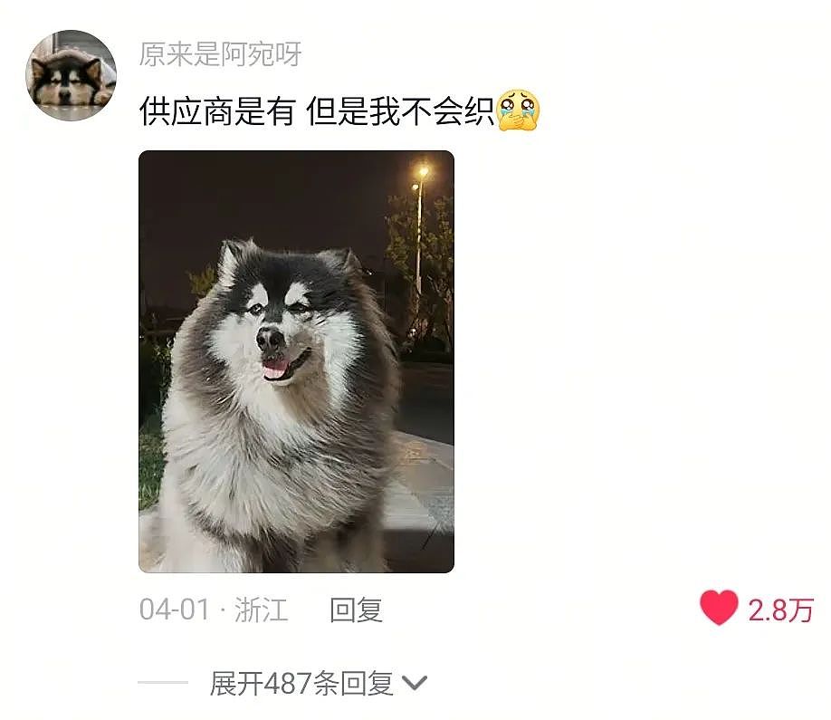 【宠物】妹子用攒了2年的狗毛,给自己和小猫织了件毛衣?网友笑喷:一家人就要整整齐齐(组图) - 9