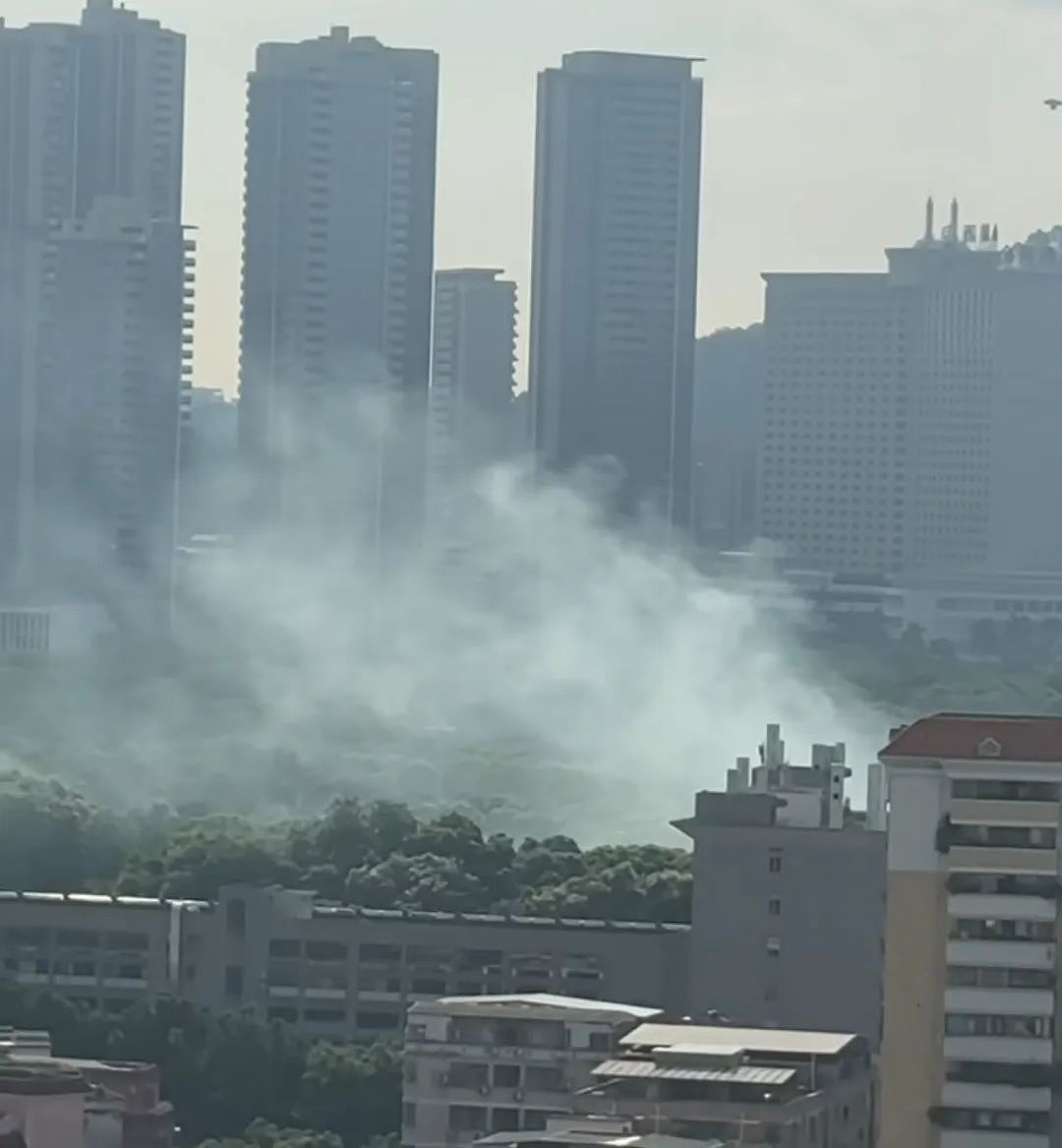 广州在住宅区喷剧毒农药，是灭人还是灭蚊？（图） - 2