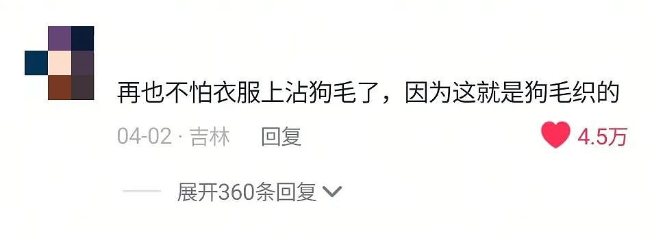 【宠物】妹子用攒了2年的狗毛,给自己和小猫织了件毛衣?网友笑喷:一家人就要整整齐齐(组图) - 10