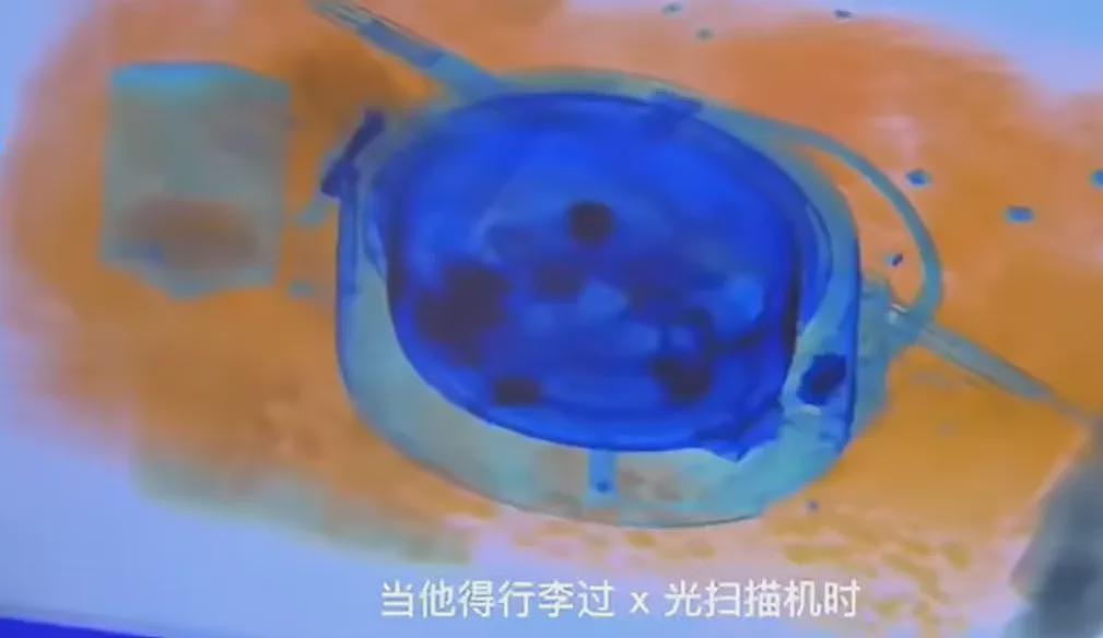 中国女子带娃大闹海关!辱骂暴打移民官致其脑震荡,法院判决引爆舆论...(组图) - 7