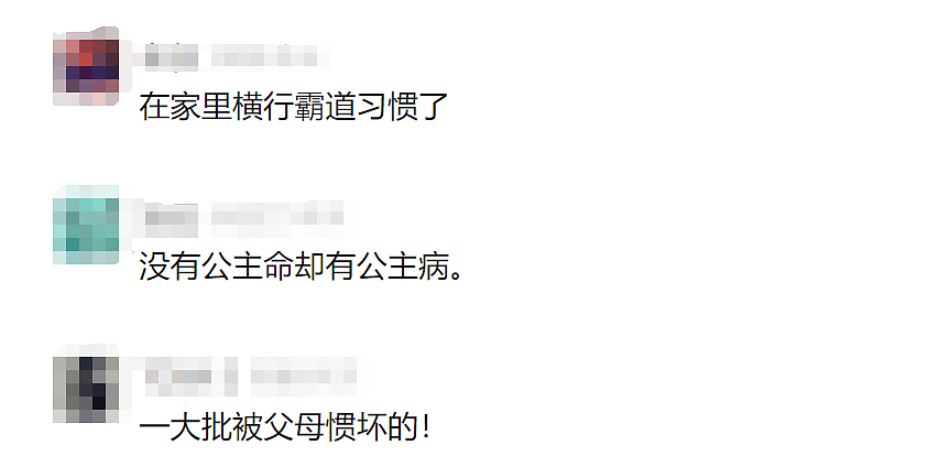 中国女子带娃大闹海关!辱骂暴打移民官致其脑震荡,法院判决引爆舆论...(组图) - 16