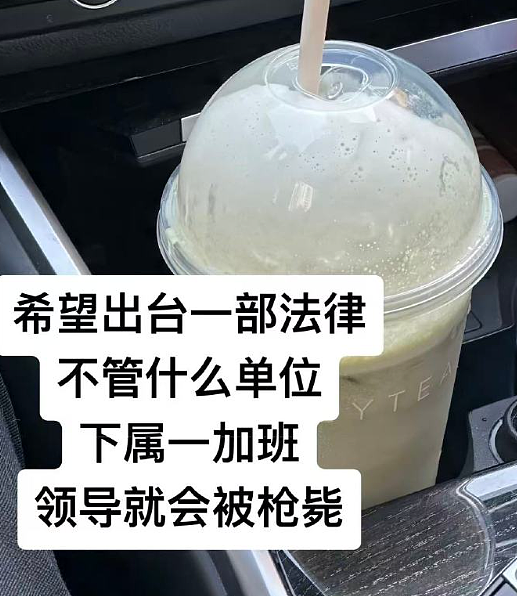 【爆笑】男朋友把头像换成和前女友一起养的猫！他是什么意思？（组图） - 10