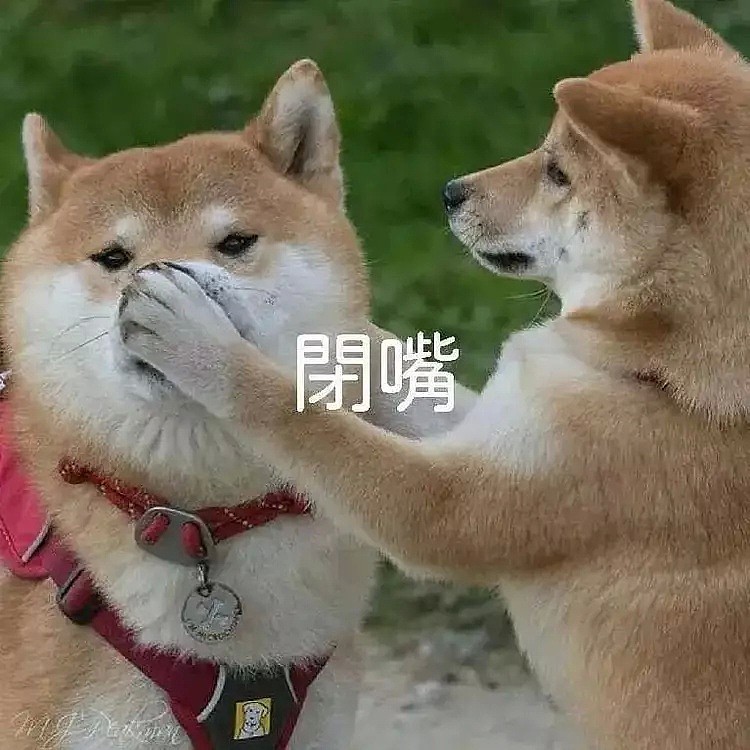 【两性】已经同房很多次，为什么女生还会喊痛？（组图） - 2