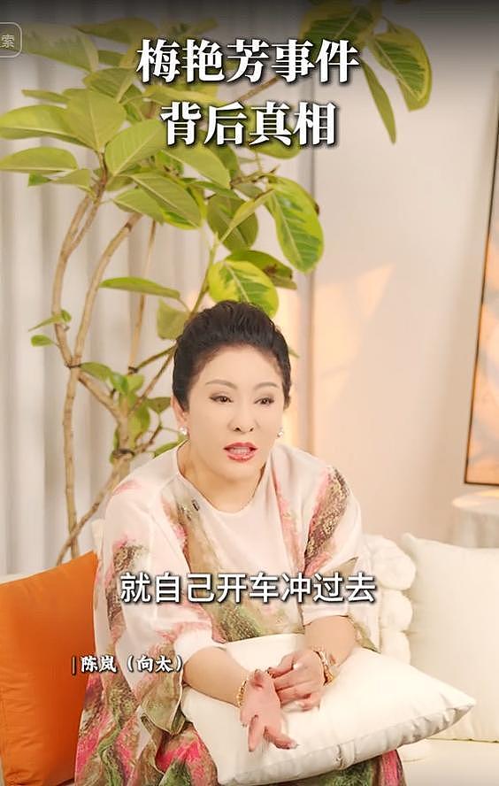 向太首次公布梅艳芳惹怒黑帮细节，梅艳芳吓哭求救，陈岚被枪指头（组图） - 18