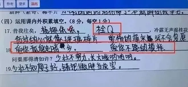 一个危险信号：学校和父母都在批量生产「烂梗小孩」（组图） - 6
