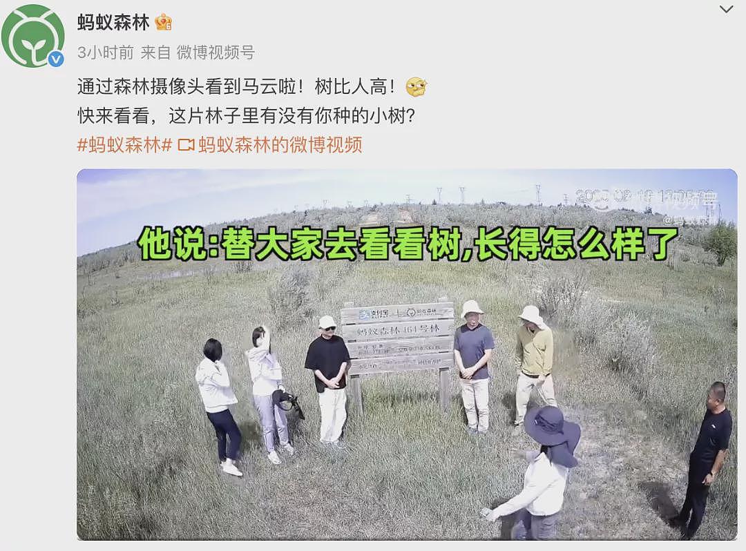 马云现身蚂蚁森林：替大家看看树长得怎么样了（组图） - 2