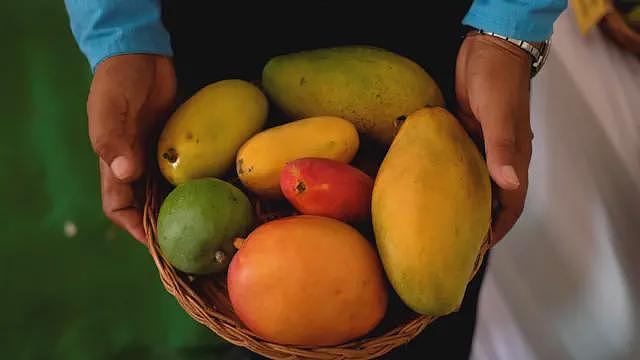 芒果对糖尿病有益吗？印度研究挑战传统观念（组图） - 1