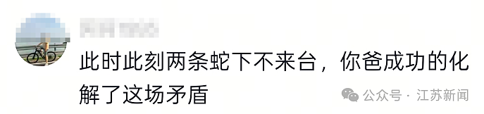 男子误踩打架中的竹叶青和五步蛇,被2蛇咬伤(组图) - 4