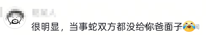 男子误踩打架中的竹叶青和五步蛇,被2蛇咬伤(组图) - 3