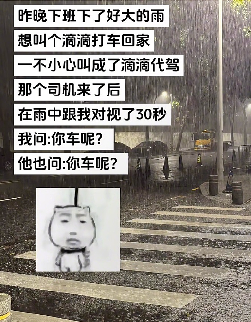 【爆笑】男朋友把头像换成和前女友一起养的猫！他是什么意思？（组图） - 39