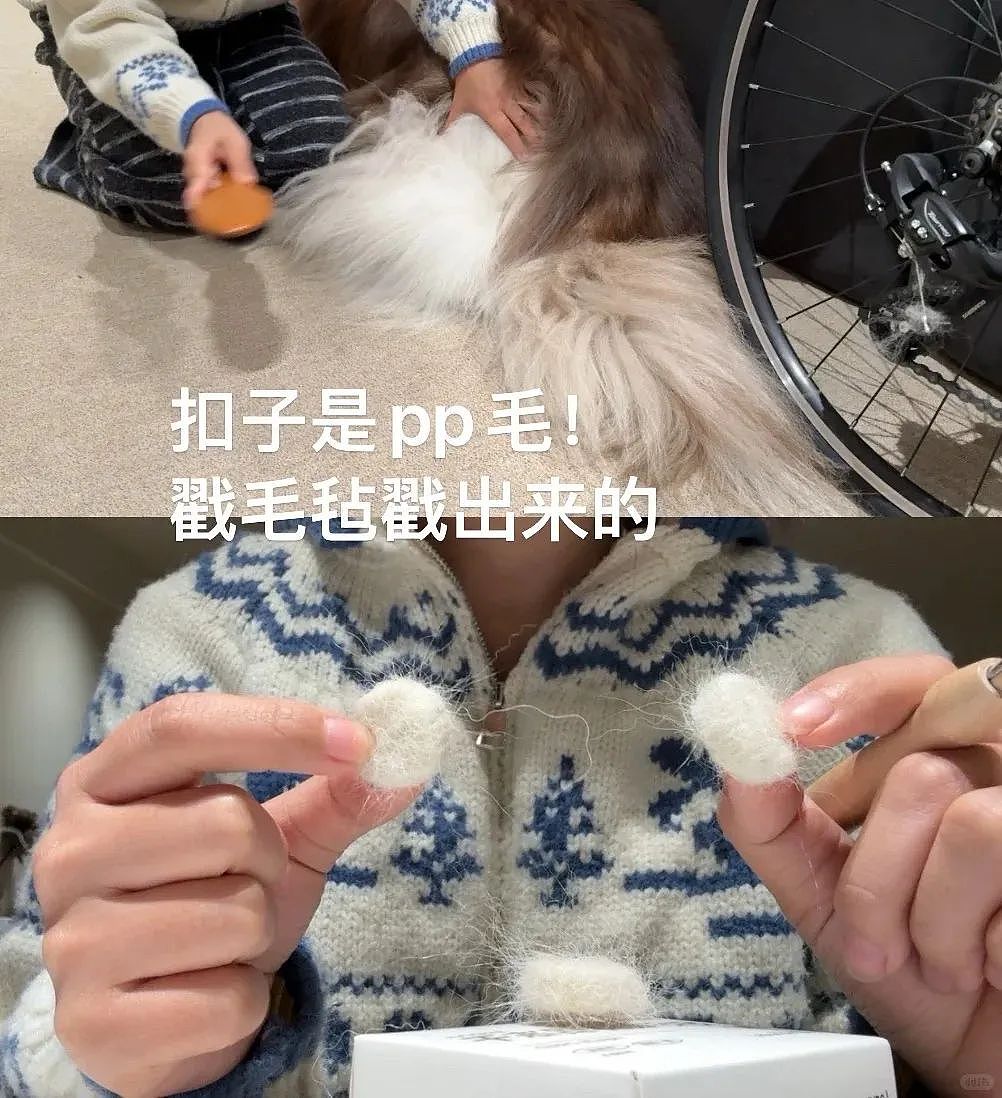 【宠物】妹子用攒了2年的狗毛,给自己和小猫织了件毛衣?网友笑喷:一家人就要整整齐齐(组图) - 5