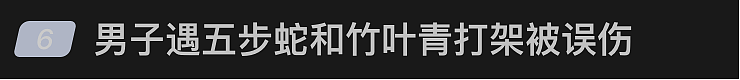 男子误踩打架中的竹叶青和五步蛇,被2蛇咬伤(组图) - 1