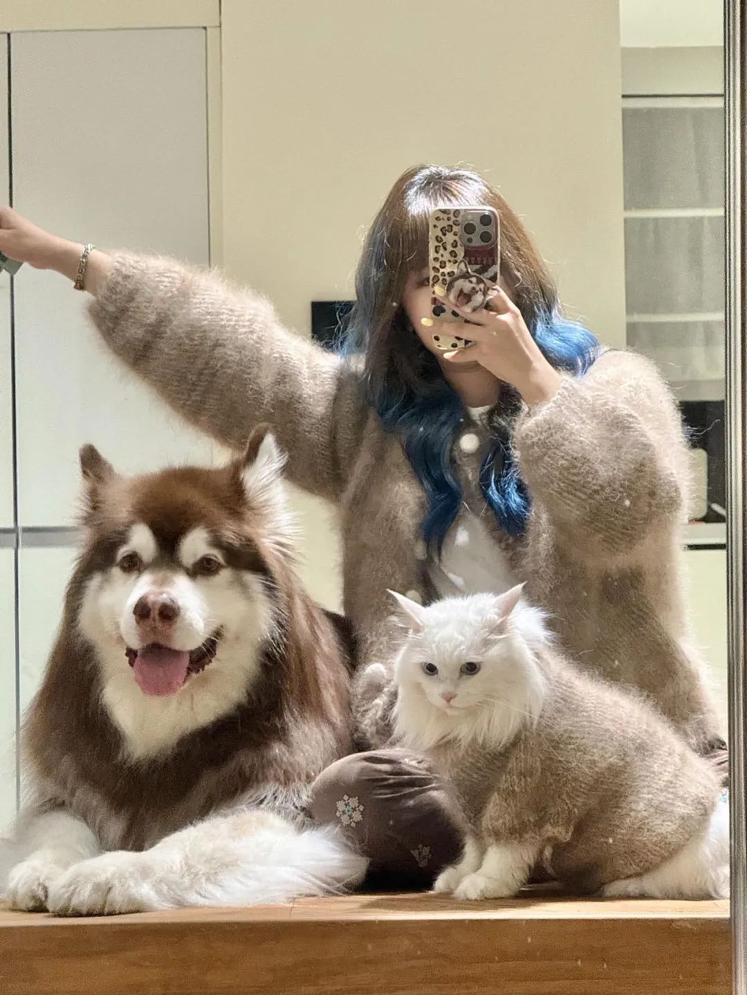 【宠物】妹子用攒了2年的狗毛,给自己和小猫织了件毛衣?网友笑喷:一家人就要整整齐齐(组图) - 17