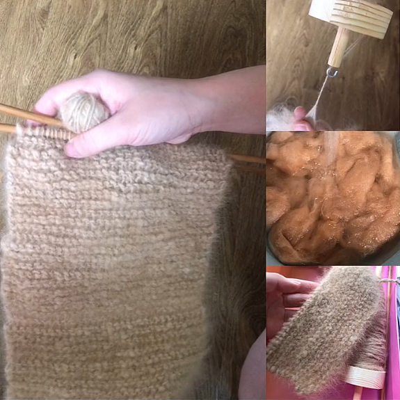 【宠物】妹子用攒了2年的狗毛,给自己和小猫织了件毛衣?网友笑喷:一家人就要整整齐齐(组图) - 18