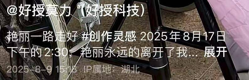 湖北美女艳丽去世，年仅31岁长得漂亮，遗书惹泪目（组图） - 8